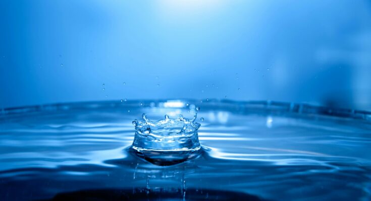 clear glass cup on water, Wasserkrat