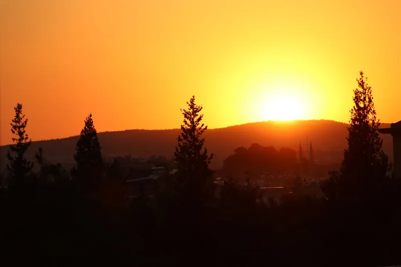 Bewaldete Hügel in der Morgensonne